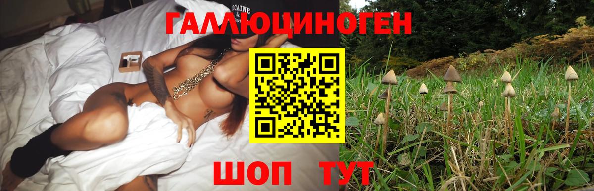 Псилоцибиновые грибы MAGIC MUSHROOMS Североморск