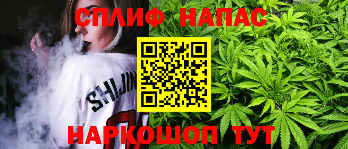Бошки марихуана планчик  Конопля ГИДРОПОН  Североморск  Вход с VPN  Канабис SATIVA & INDICA 